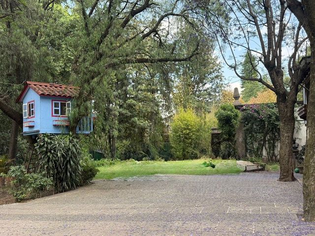place photo 47