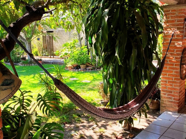 place photo 23