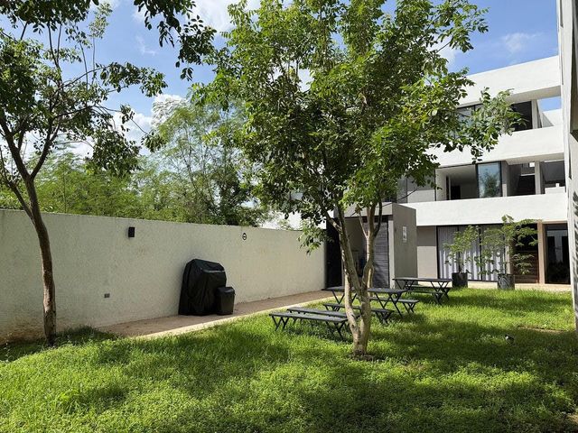 place photo 44