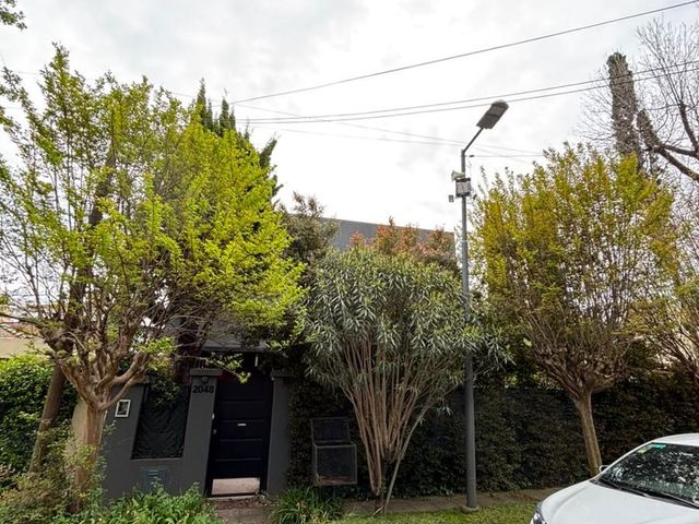 place photo 61