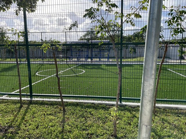 place photo 15