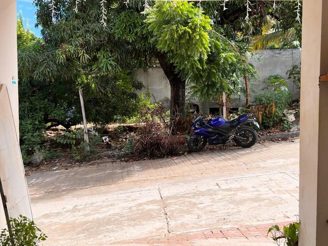 place photo 28