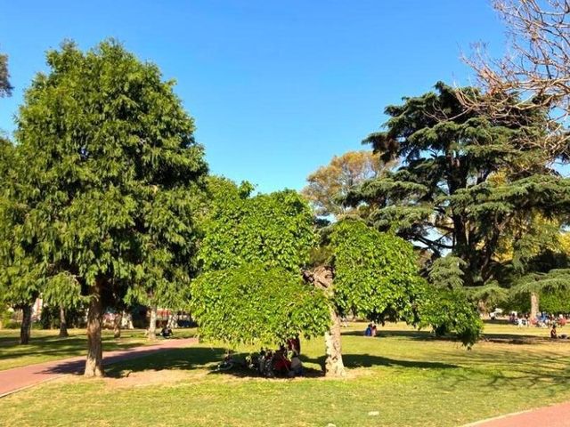 place photo 13