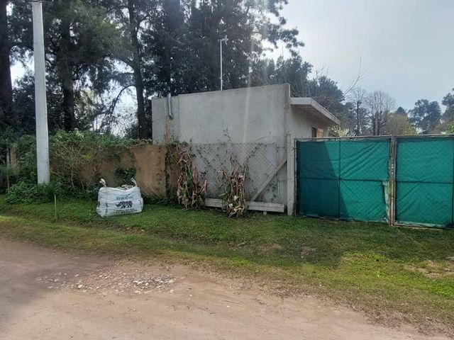 place photo 32