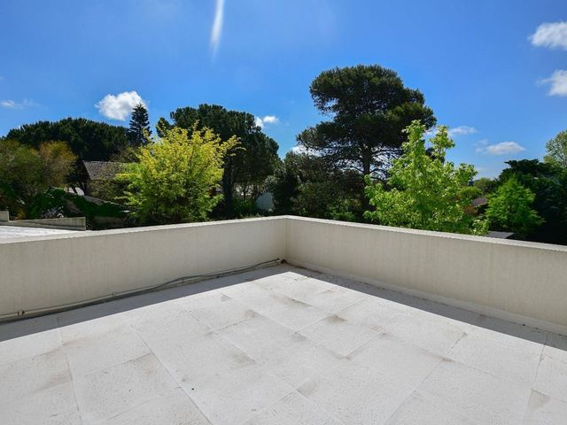 place photo 45