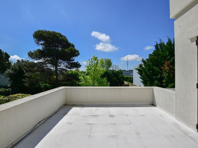 place photo 46