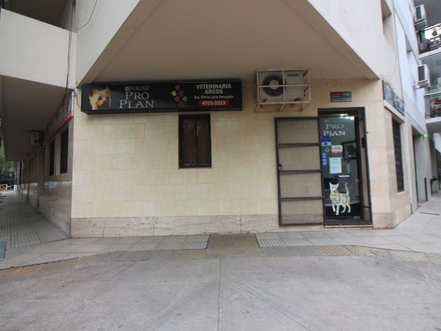 place photo 19
