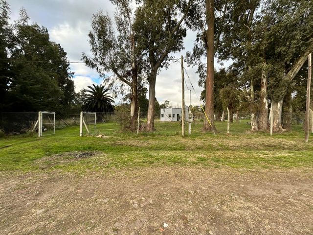place photo 17