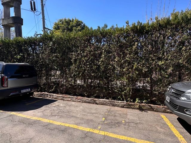 place photo 39