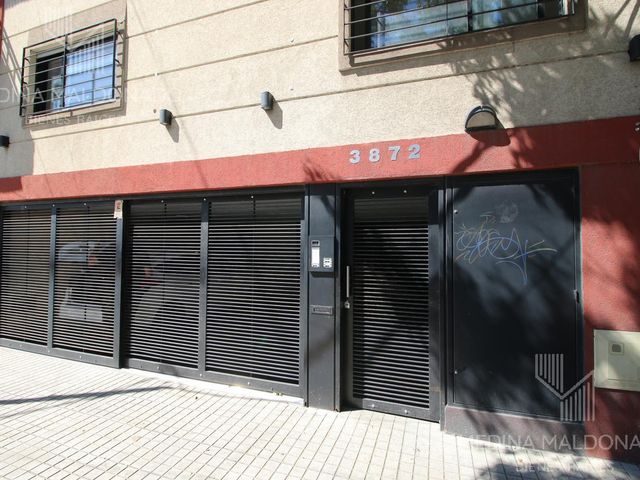 place photo 19