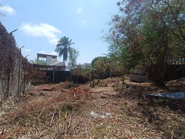 place photo 17