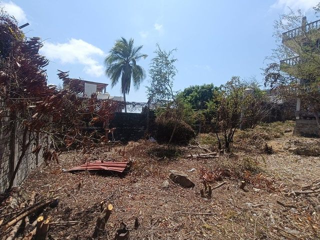 place photo 18