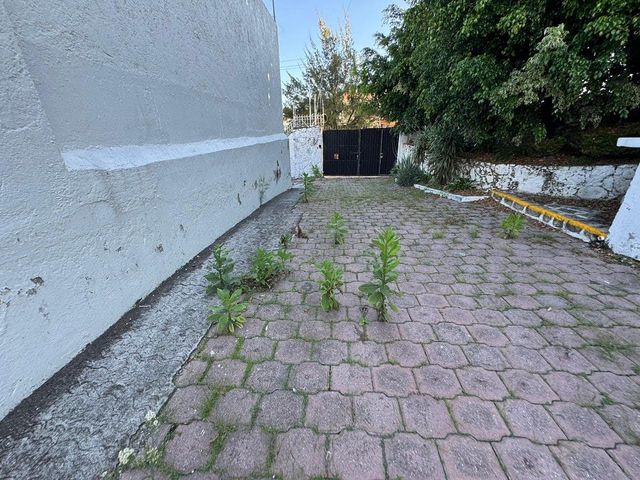 place photo 30