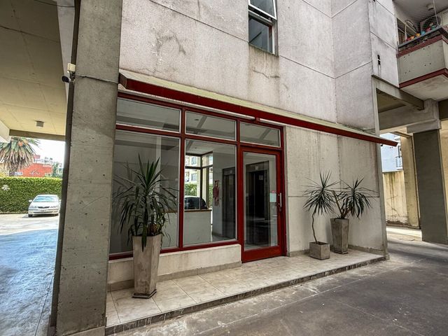 place photo 12