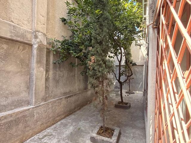 place photo 36