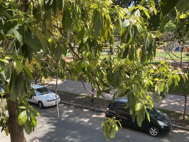 place photo 18