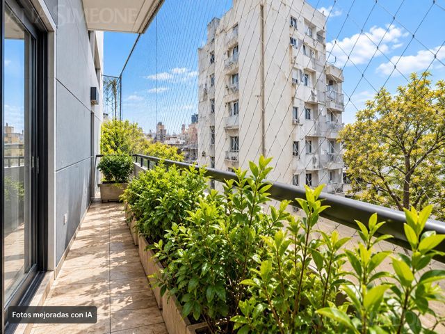 place photo 44