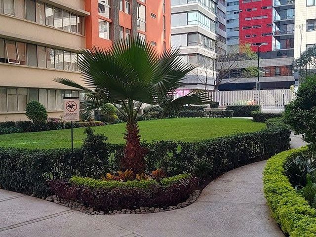 place photo 34