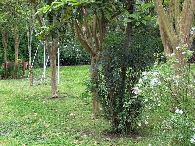 place photo 45
