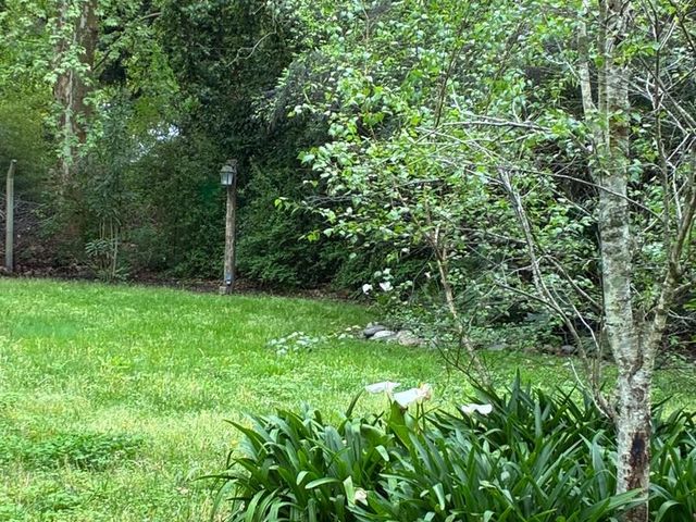 place photo 48