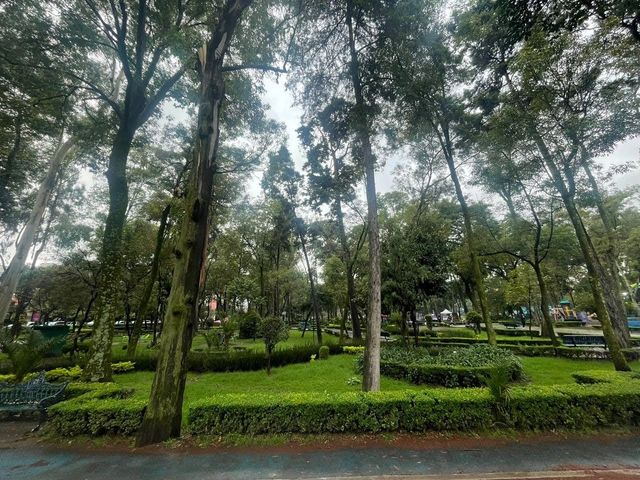 place photo 9