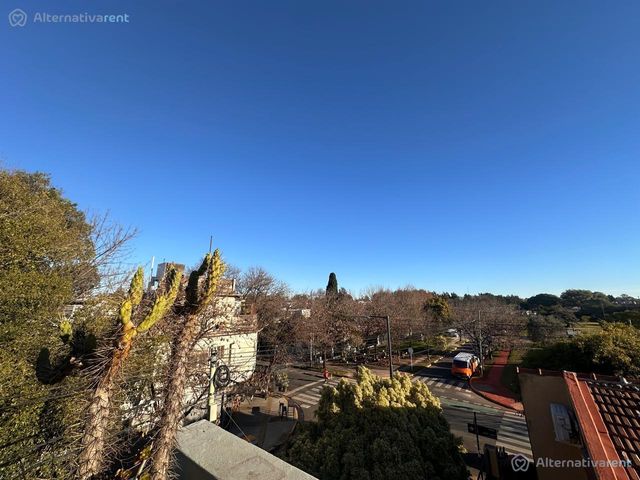 place photo 30