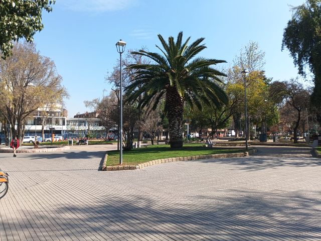 place photo 8