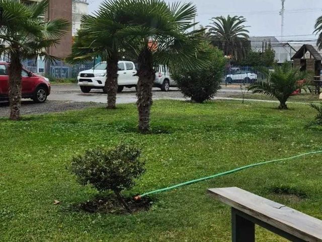 place photo 22