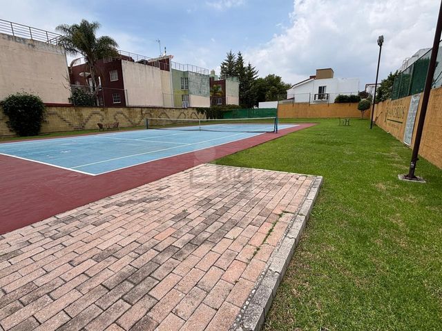 place photo 40