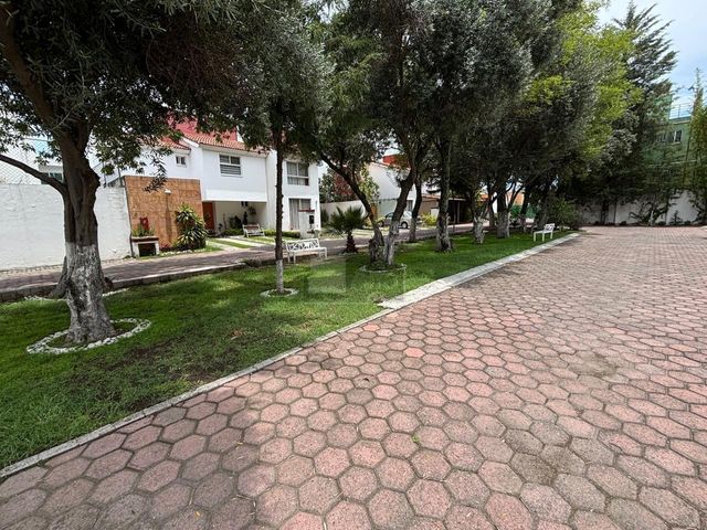 place photo 55