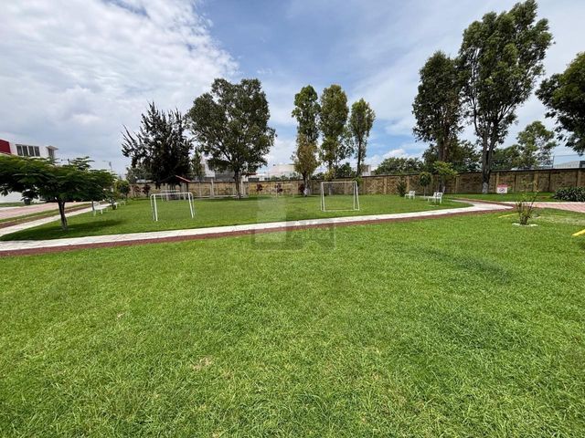 place photo 47