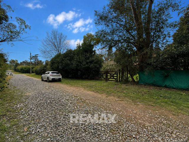 place photo 48