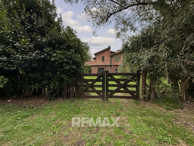 place photo 47