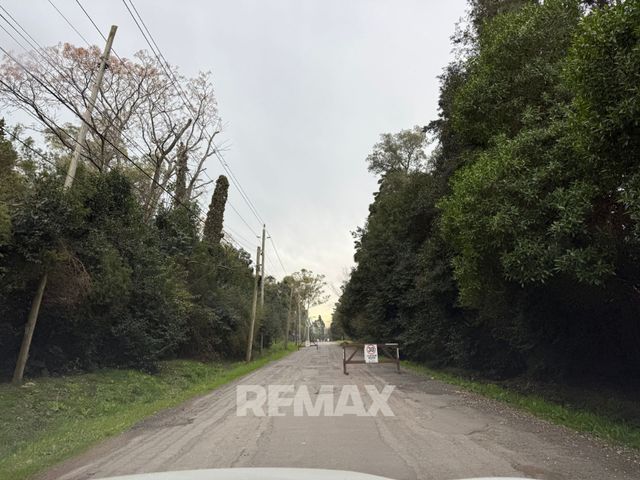place photo 49