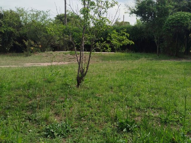 place photo 39