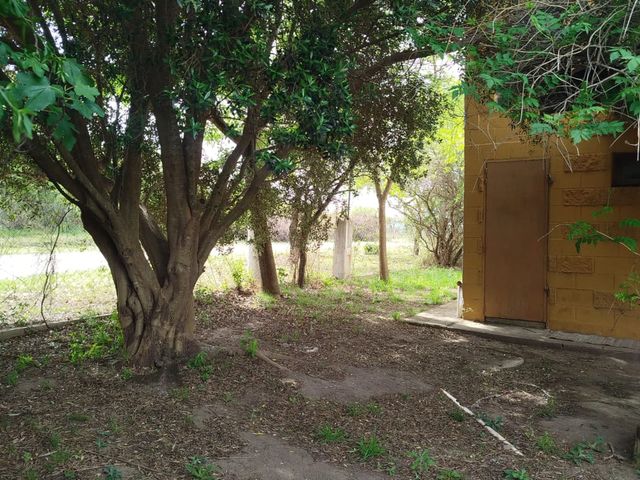 place photo 35