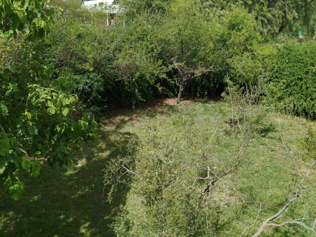 place photo 38