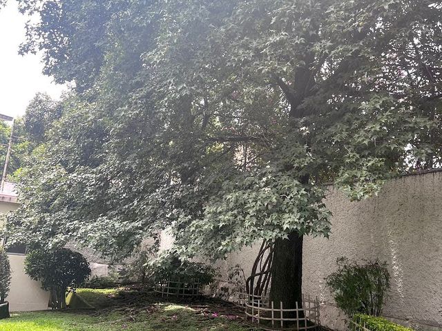 place photo 42