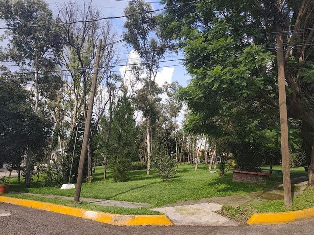 place photo 31
