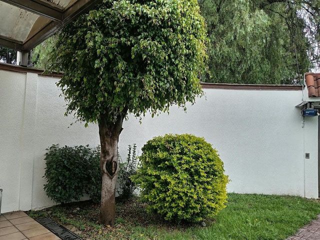 place photo 28