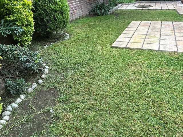 place photo 41