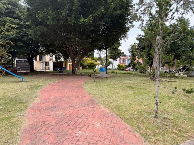 place photo 17