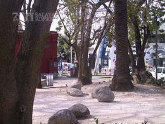 place photo 19
