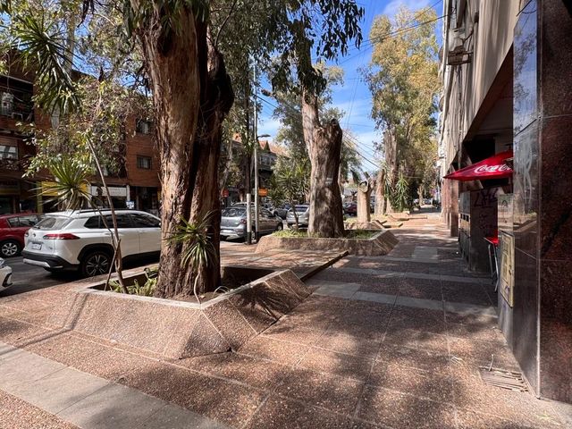 place photo 50