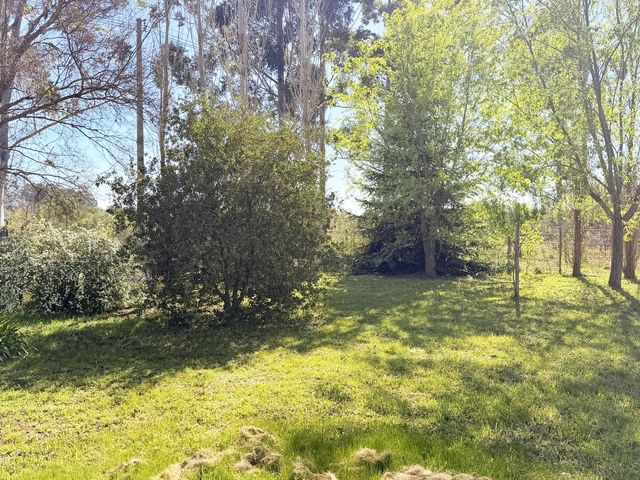 place photo 35
