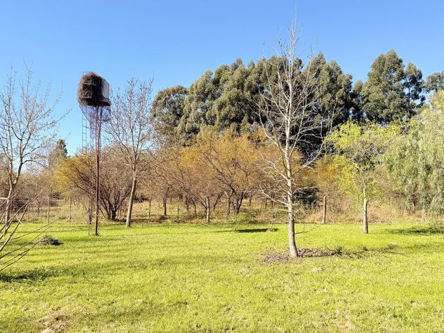 place photo 43