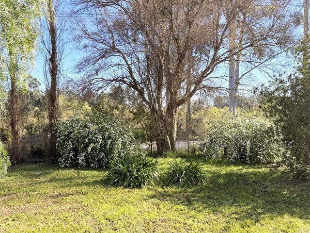 place photo 37