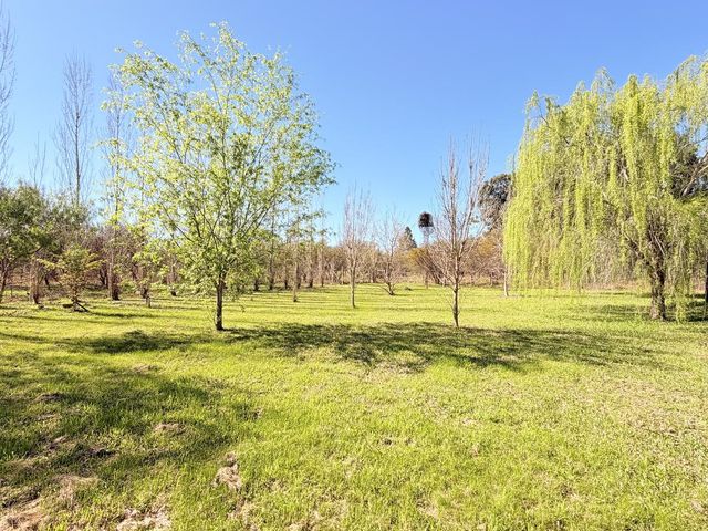 place photo 34
