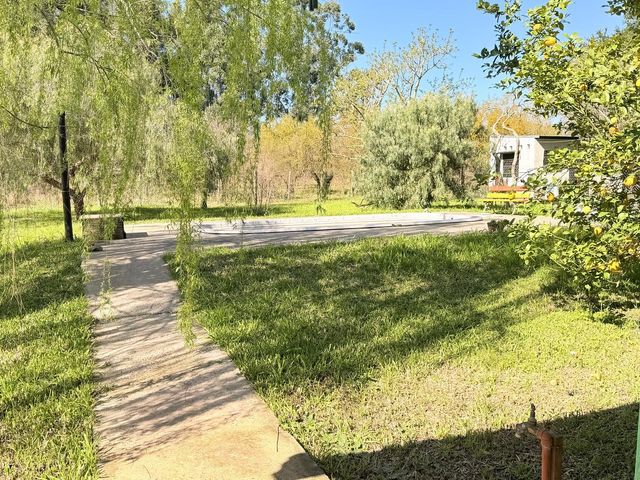 place photo 49