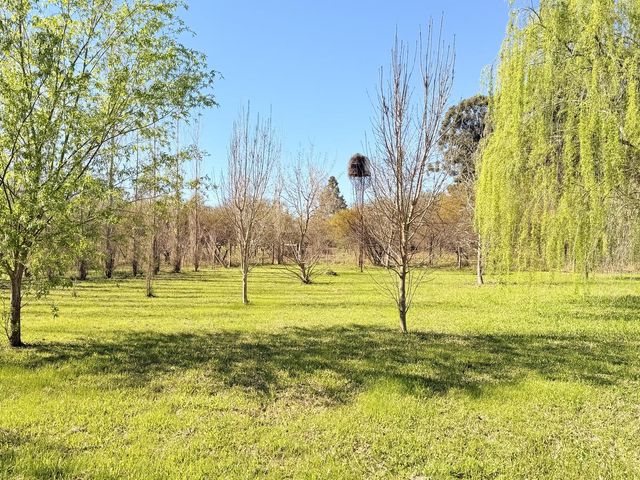 place photo 33